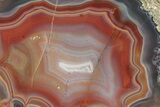 Colorful, Polished Condor Agate - Argentina #273671-1